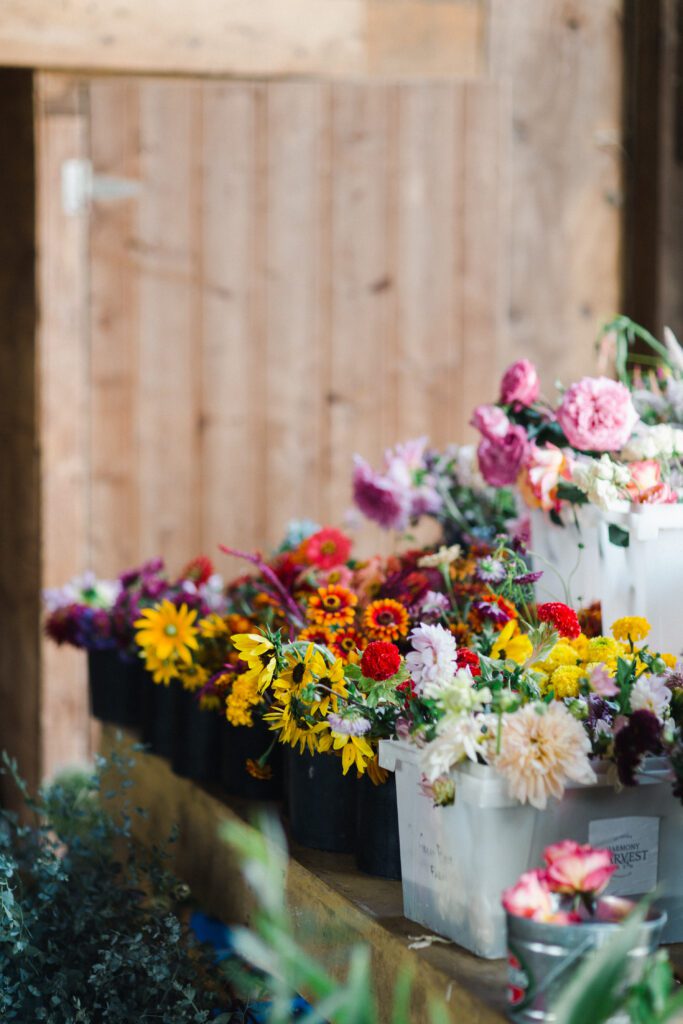 sustainable floristry