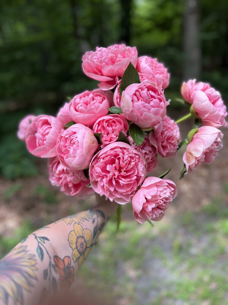 Pink peonies are beautiful wedding flowers